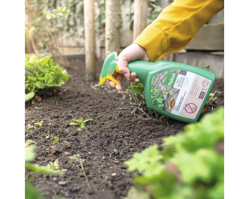 Hand spuit onkruidverdelger uit een spuitfles op onkruid in een tuinbed met aarde.
