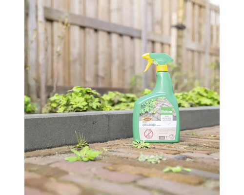 Pokon Tegen Onkruid Spray in spuitfles op een bestraat tuinpad naast onkruid voor een houten schutting.