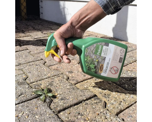 Een hand besproeit onkruid in de voegen van bestrating met onkruidspray uit een spuitfles.