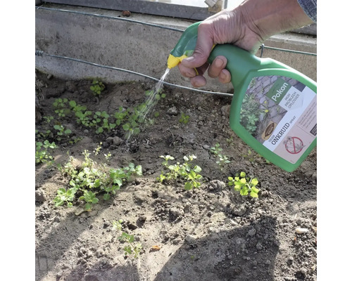 Een hand spuit met een Pokon spuitfles onkruidverdelger op onkruid in de tuingrond.