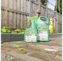 Pokon onkruidspray in spuitfles en jerrycan op een klinkerpad voor een houten schutting.