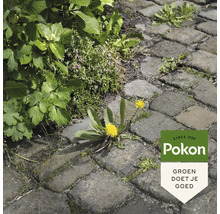 Onkruid en een paardenbloem groeien tussen de kasseien op een pad met het Pokon Logo.