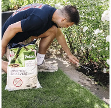 Een man gebruikt Pokon Bio Compost tegen insecten en kevers in een tuinperk met witte rozen en bewerkt de grond met een handhark.