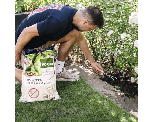 Een man gebruikt Pokon Bio Compost tegen insecten en kevers in een tuinperk met witte rozen en bewerkt de grond met een handhark.