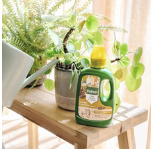 Pokon vloeibare kamerplantenvoeding op een houten bankje naast een Pilea plant en een gieter.