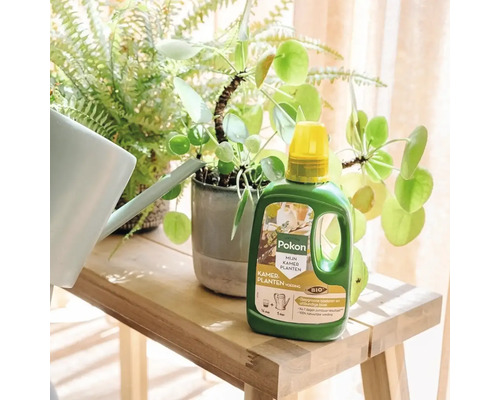 Pokon vloeibare kamerplantenvoeding op een houten bankje naast een Pilea plant en een gieter.