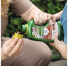 Persoon giet Pokon Bio Terras en Balkon Plantenvoeding uit een groene fles in een gele doseerdop.