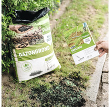 Persoon herstelt een kale plek in het gazon met Pokon Bio gazongrond en Pokon graszaad herstel.