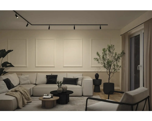 Moderne woonkamer met zwart railsysteem aan het plafond, lichte hoekbank, decoratieve wandlijsten en een kamerplant.