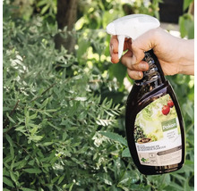 Hand besproeit tuinplanten met Pokon Bio plantenkuur uit een spuitfles.