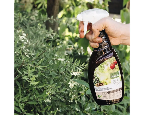 Hand besproeit tuinplanten met Pokon Bio plantenkuur uit een spuitfles.