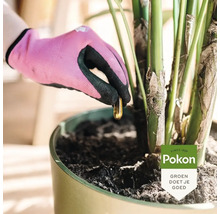 Hand met tuinhandschoen plaatst een meststofcapsule in de grond van een kamerplant. Pokon logo.