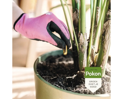 Hand met tuinhandschoen plaatst een meststofcapsule in de grond van een kamerplant. Pokon logo.