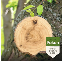 Afgezaagde boomtak met zichtbare jaarringen en Pokon Logo.