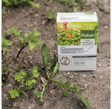 Pokon Tegen Hardnekkig Onkruid Concentraat in een tuinsetting naast paardenbloemen en brandnetels op zanderige grond.