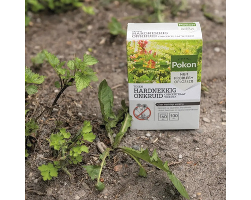 Pokon Tegen Hardnekkig Onkruid Concentraat in een tuinsetting naast paardenbloemen en brandnetels op zanderige grond.