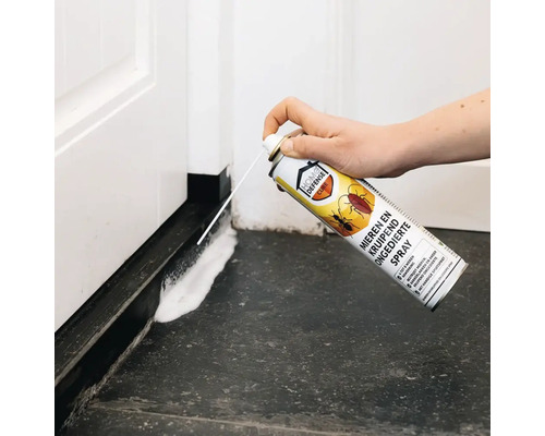 Iemand brengt insectenspray voor mieren en kruipend ongedierte als schuim aan langs een deurdrempel.