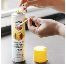 Handen bevestigen een precisiespuitmond aan een Home Defense Cure spuitbus tegen mieren en kruipend ongedierte.