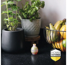 Keukenscène met een glazen fruitvliegval op een aanrecht naast keramieken kruidenpotten en een metalen fruitmand. Home Defense Logo.