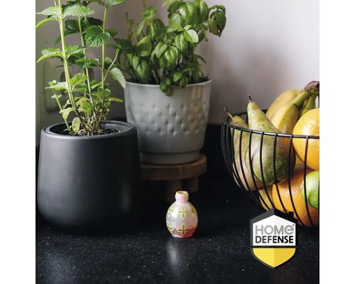 Keukenscène met een glazen fruitvliegval op een aanrecht naast keramieken kruidenpotten en een metalen fruitmand. Home Defense Logo.