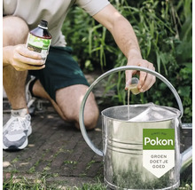 Een persoon giet vloeibare Pokon plantenvoeding met een maatbekertje in een metalen gieter in een tuin. Pokon Logo.