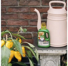 Fles Pokon Bio Moestuin Voeding naast een gieter en een paprikaplant met gele vruchten voor een bakstenen muur.