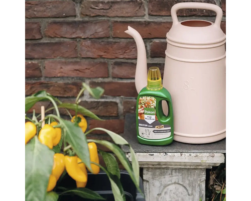 Fles Pokon Bio Moestuin Voeding naast een gieter en een paprikaplant met gele vruchten voor een bakstenen muur.