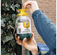 Een persoon bevestigt een Home Defense vliegenval aan een met klimop begroeid hek buiten.