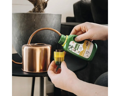 Een persoon schenkt vloeibare Pokon Bio Bonsai voeding uit een groene fles in een gele doseerdop naast een koperkleurige gieter.