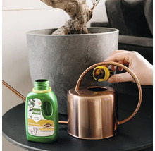 Een hand giet Pokon Bio Bonsai voeding vanuit de dop in een koperen gieter naast een bonsai in een grijze pot.