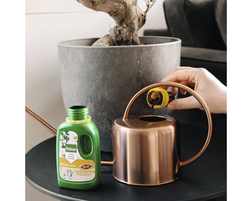 Een hand giet Pokon Bio Bonsai voeding vanuit de dop in een koperen gieter naast een bonsai in een grijze pot.