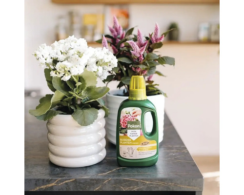 Pokon Bio vloeibare plantenvoeding voor bloeiende kamerplanten naast een witte bloempot op een donker werkblad in een lichte, moderne kamer.
