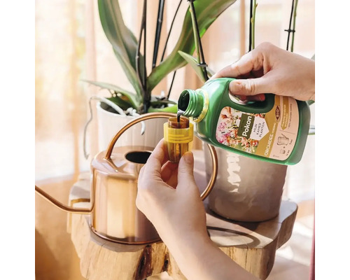 Iemand giet vloeibare Pokon Bio Orchidee voeding uit een groene fles in een maatdop naast een koperkleurige gieter bij een orchidee.