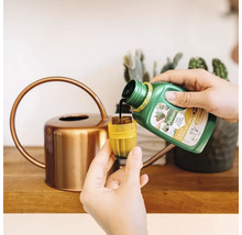 Een persoon giet Pokon cactus- en vetplantenvoeding uit een groene fles in een gele maatdop, naast een koperkleurige gieter.