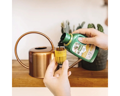 Een persoon giet Pokon cactus- en vetplantenvoeding uit een groene fles in een gele maatdop, naast een koperkleurige gieter.