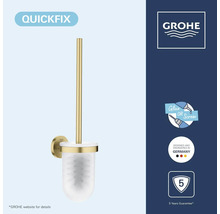 Grohe toiletborstelset voor wandmontage, QuickFix om te lijmen of te schroeven, mat glas, goudkleurige handgreep, 5 jaar garantie, Grohe Logo.