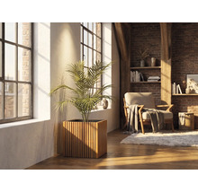 Vierkante houten plantenbak met verticale latten en een kamerplant in een lichte woonkamer met bakstenen muur en grote ramen.