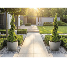 Moderne, lichte tuin met stenen pad, spiraalvormige vormbomen in ronde potten, houten terras en gazon.