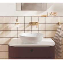 Heldere, georganiseerde badkamer met een witte opzetwastafel op een donkerrood meubel, gouden inbouwkranen en betegelde wanden.