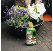 Pokon Terras en Balkon Plantenvoeding in een groene fles voor een plantenbak met witte en paarse bloemen.