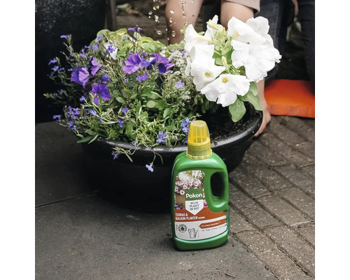 Pokon Terras en Balkon Plantenvoeding in een groene fles voor een plantenbak met witte en paarse bloemen.