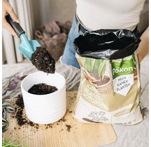 Een hand vult een witte geribbelde bloempot met Pokon kamerplanten potgrond met behulp van een schepje tijdens het verpotten.