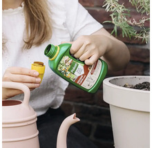 Iemand schenkt Pokon Mediterrane Planten Voeding in een doseerdop naast een plantenpot en een gieter.