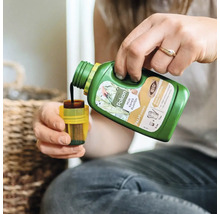 Een persoon schenkt vloeibare Pokon Bio palmvoeding uit een groene fles in een gele doseerdop.