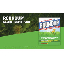 Roundup Gazon Onkruidvrij onkruidverdelger, gebruiksklaar voor 50 vierkante meter, bestrijdt onkruid tot in de wortel zonder glyfosaat.
