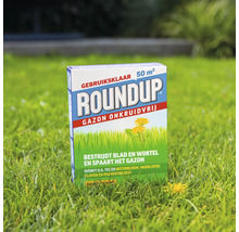 Verpakking Roundup Gazon Onkruidvrij voor 50 vierkante meter op een groen gazon met paardenbloemen.