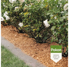 Georganiseerde tuinborder met witte rozen en lichte houtsnippers als bodembedekking naast gazon en stenen tegels, Pokon Logo.