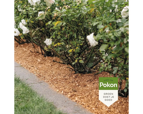 Georganiseerde tuinborder met witte rozen en lichte houtsnippers als bodembedekking naast gazon en stenen tegels, Pokon Logo.