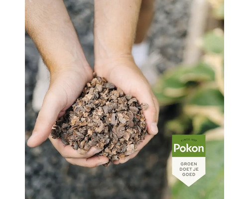 Handen houden een handvol Pokon cacaodoppen vast voor bodembedekking in de tuin. Pokon Logo.