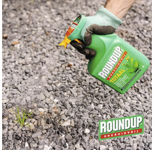 Een persoon met werkhandschoen spuit Roundup Onkruidvrij op onkruid tussen grind.